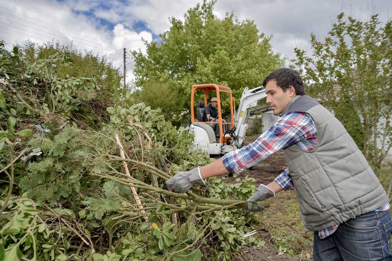 Tuinonderhoud door hovenier